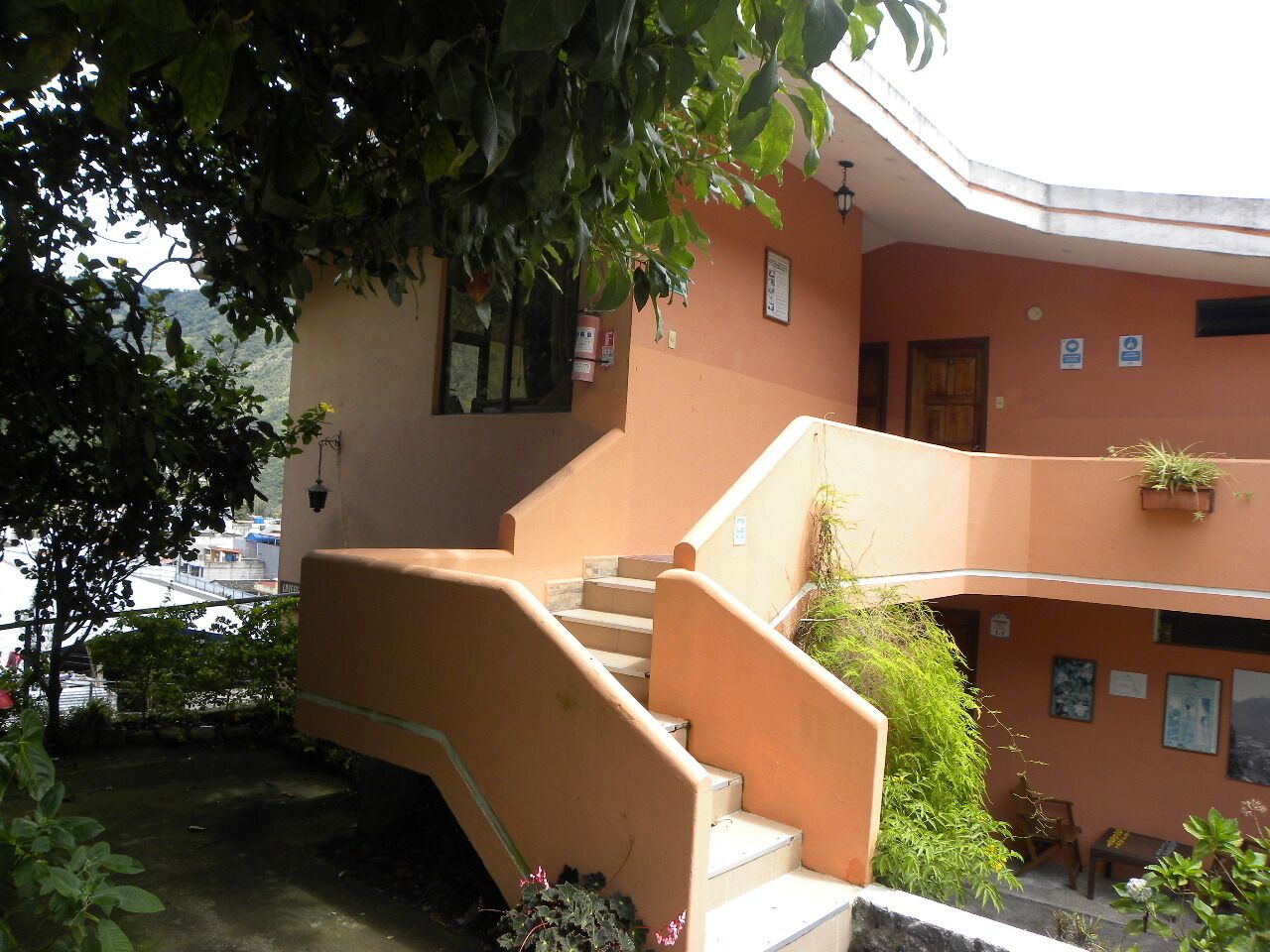 A multi-level building with a staircase, outdoor plants, and a view of the surrounding area.