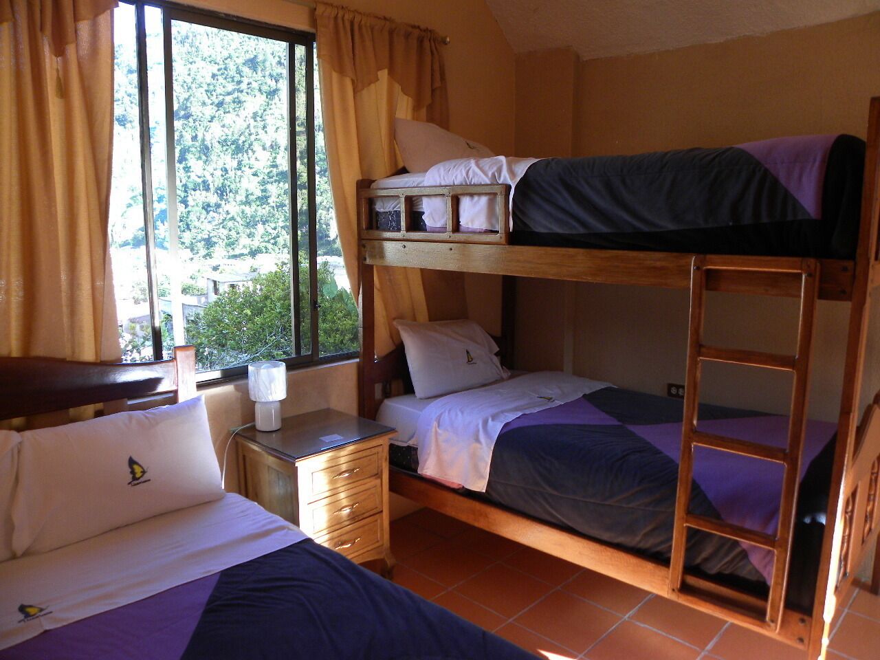A dormitory room with bunk beds, a bedside table with a lamp, and a window with curtains.