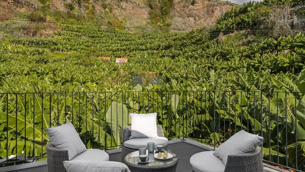 Une terrasse dotée de meubles en osier et offrant une vue sur un jardin luxuriant.