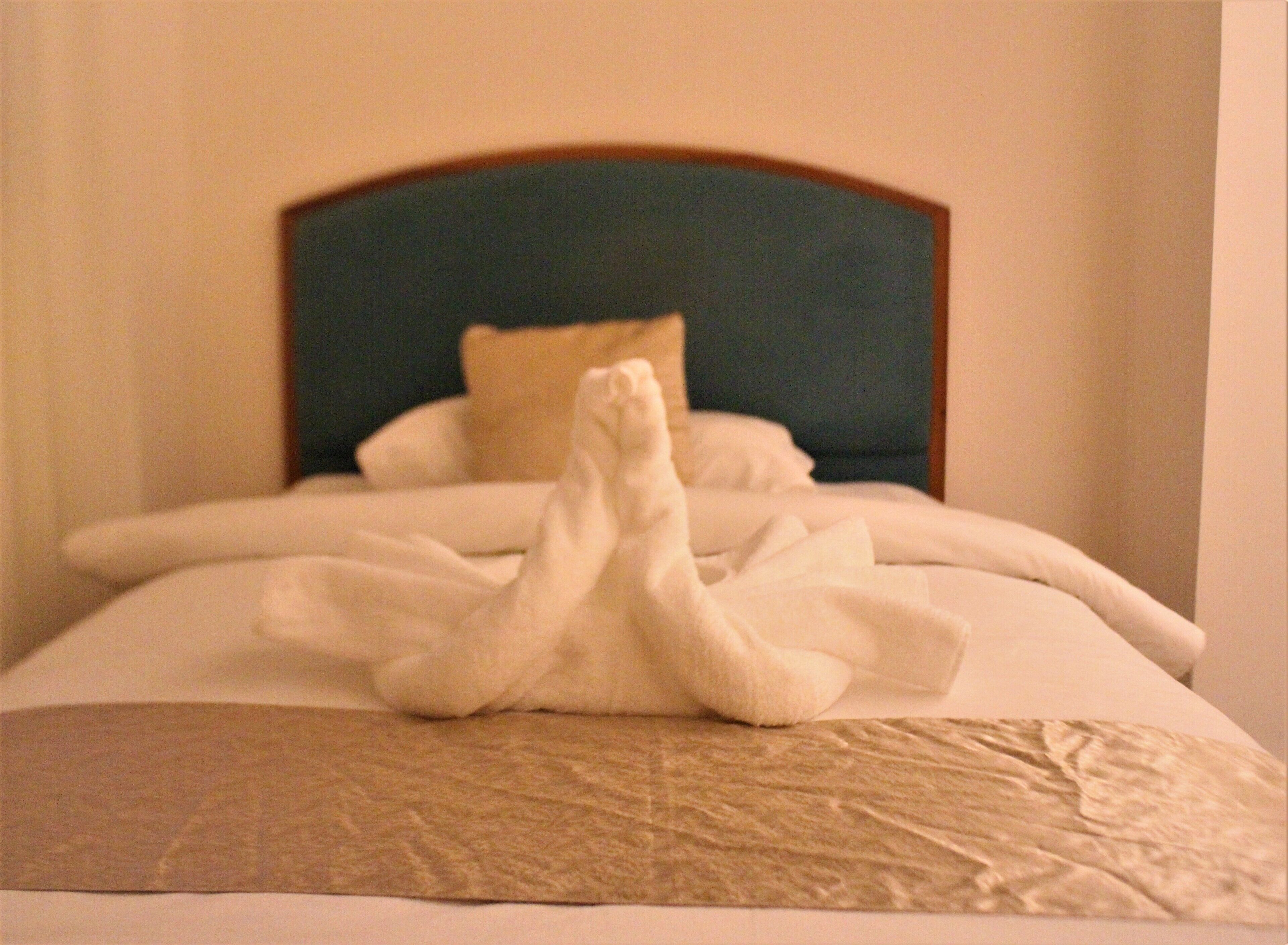 standard single room | 1 bedroom, minibar, blackout curtains, soundproofing