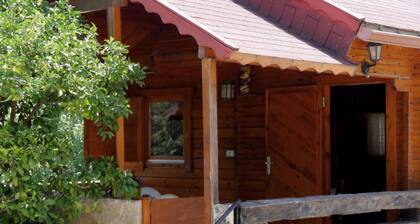 La Cabaña - Lake Anna