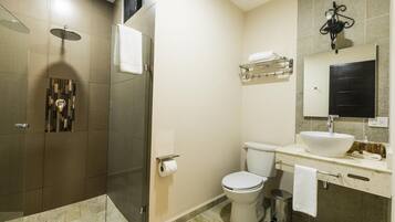 A modern bathroom with a glass-enclosed shower, a white toilet, a sink with a mirror above, and a towel rack.