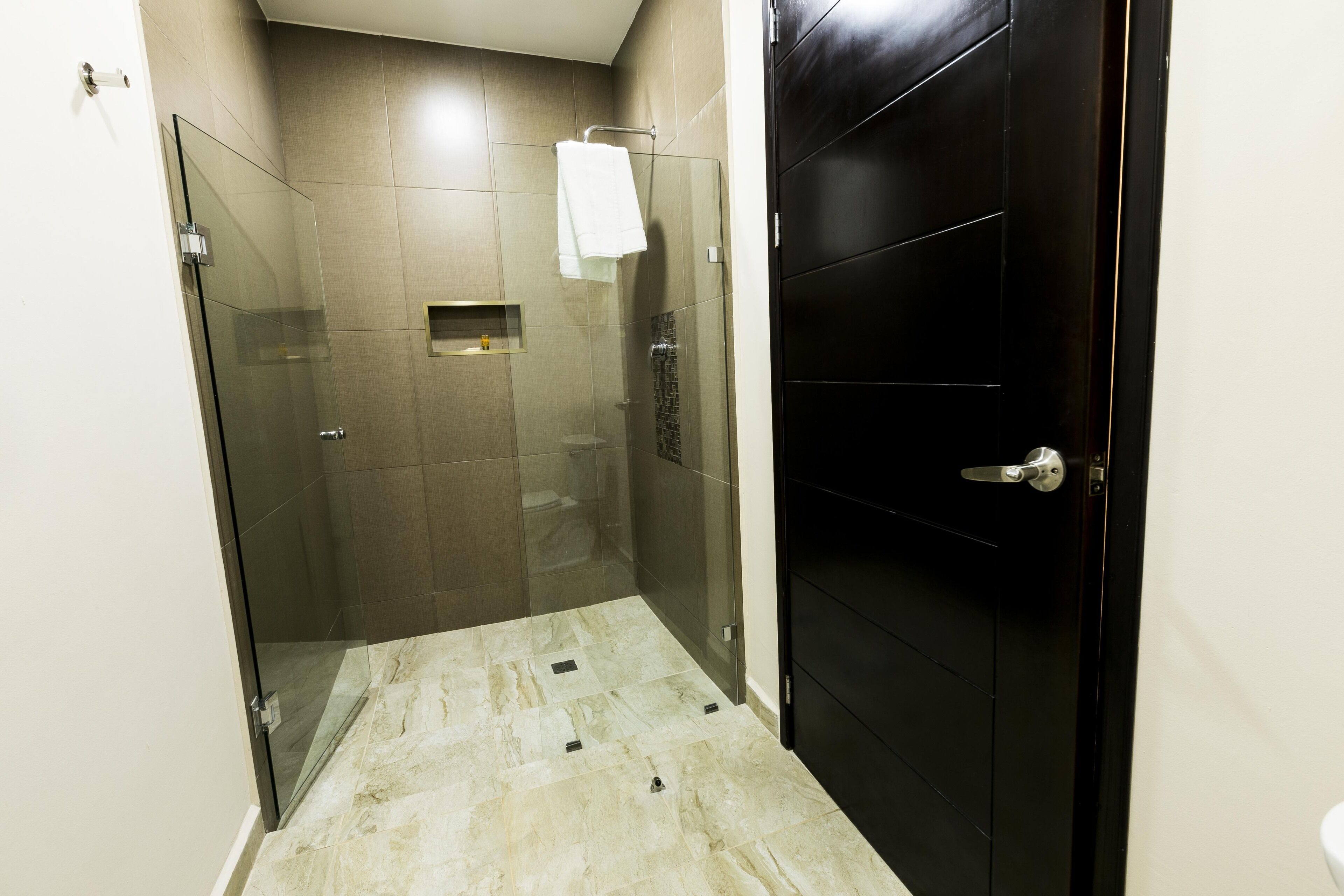 A modern bathroom with a glass shower enclosure, a black door, and a white towel hanging on a rack.
