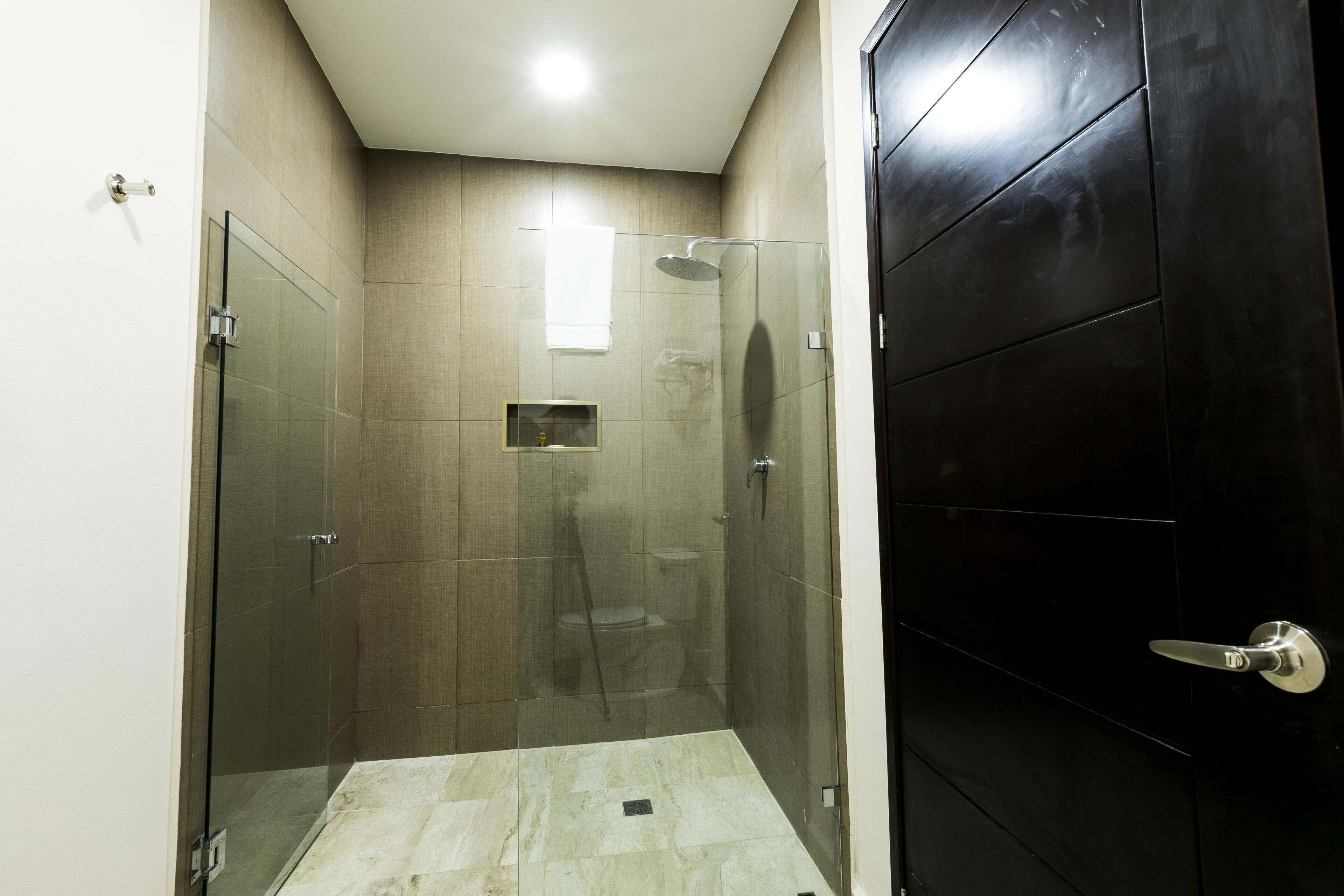 A modern bathroom with a glass-enclosed shower, a toilet, and a sink.