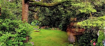 伝統的なアイリッシュパブに住む