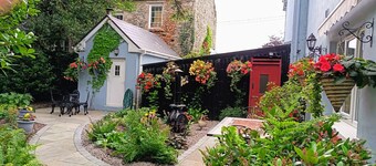 Vivez dans un pub irlandais traditionnel