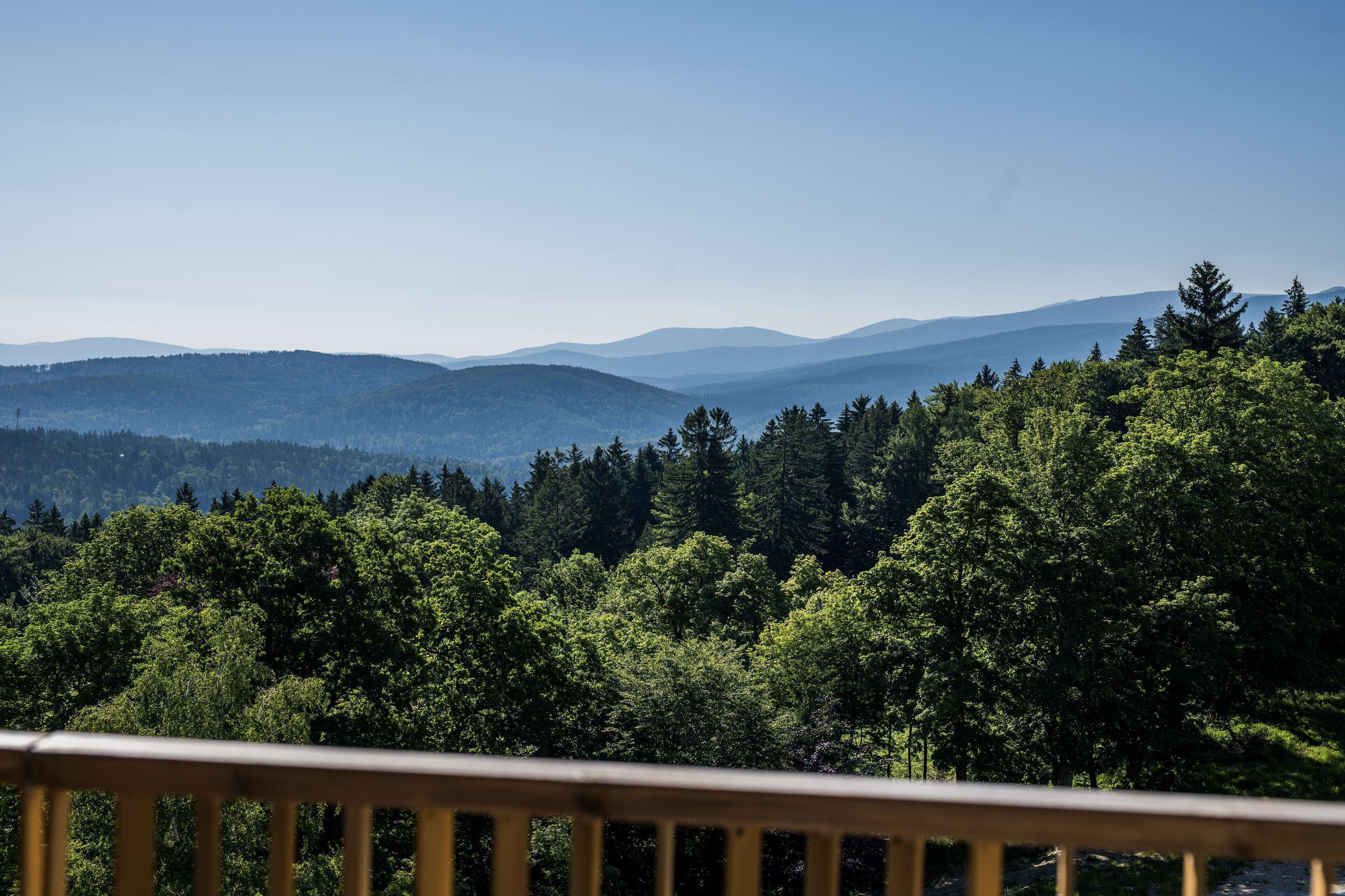 A forested mountain landscape with a wooden railing in the foreground.