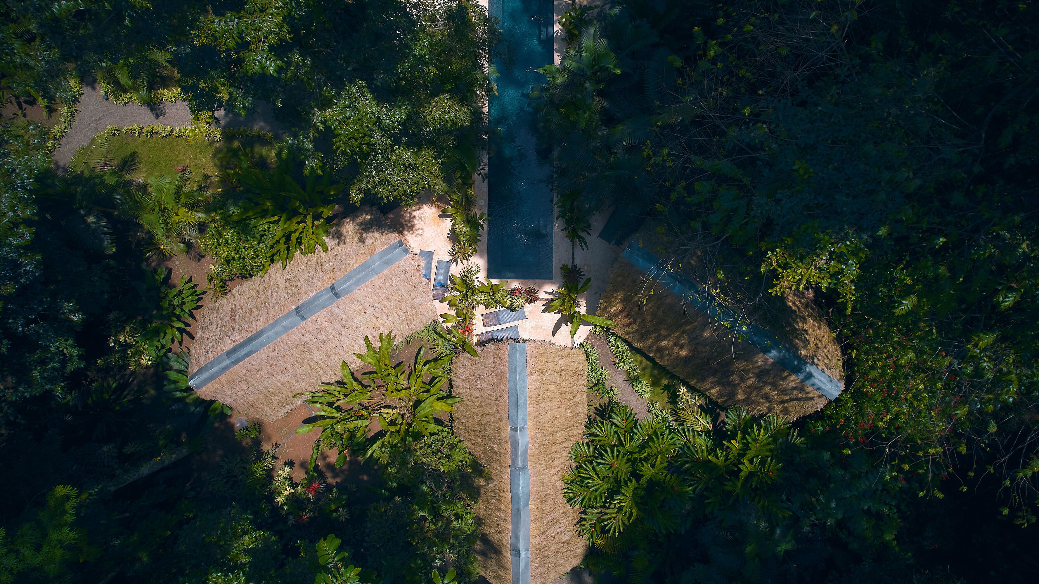 Vista aérea de un resort con una piscina central, rodeado de exuberante vegetación y palmeras.