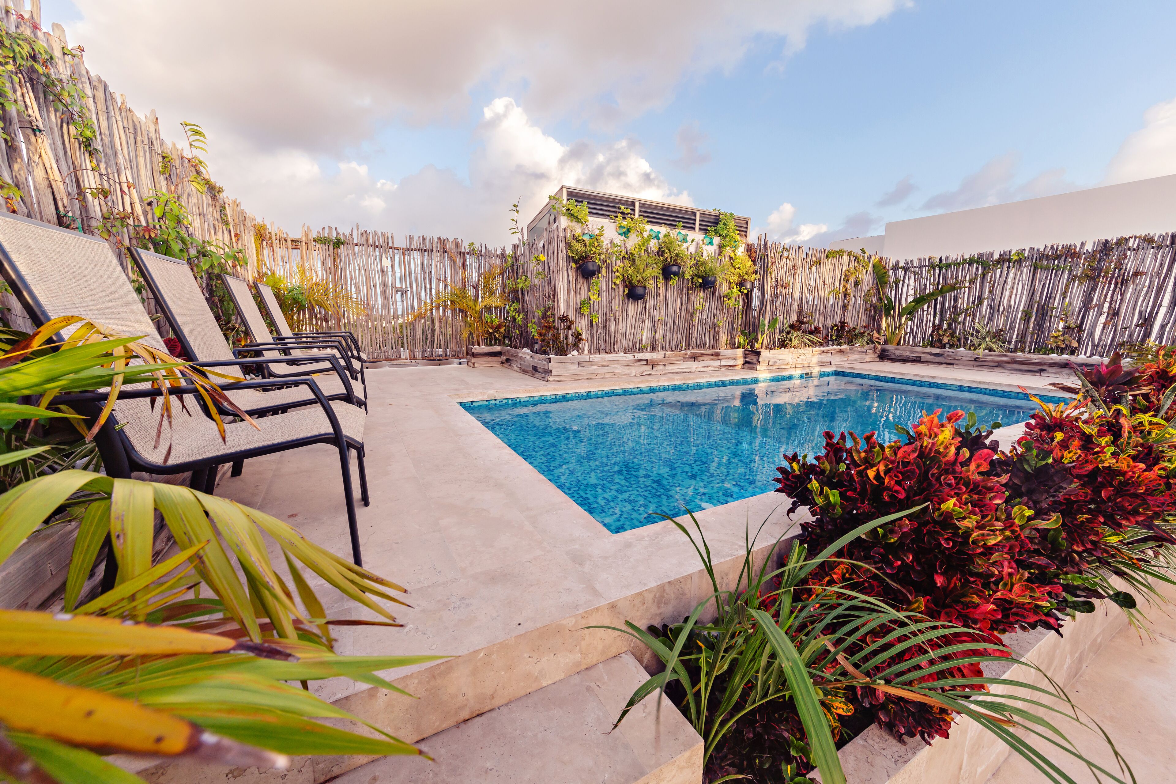 Foto - Mararena Family Apartments & Long Stay Living - Steps from 5th Avenue