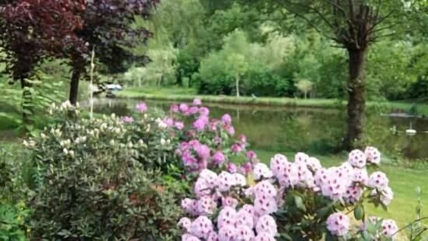 A garden with a pond and pink flowers. - La Chti Cabane (Taintrux)