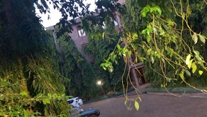 Een straat met bomen en een gebouw op de achtergrond.