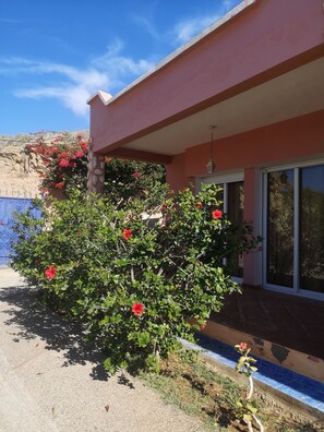 Exterior detail - Stunning ocean view bungalow by the beach with swimming pool  (Awrir)