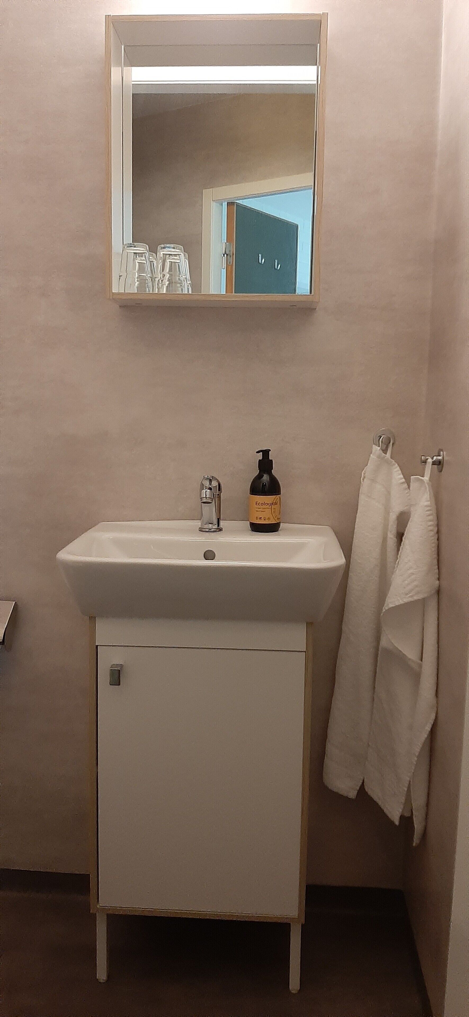 Een badkamer met een witte wastafel, een spiegel erboven en een handdoekrek met twee handdoeken.