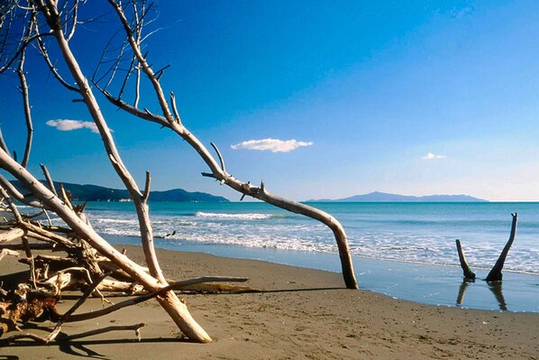 Playa
