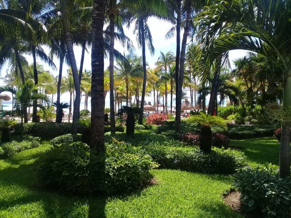 A lush garden with palm trees and well-maintained grass.