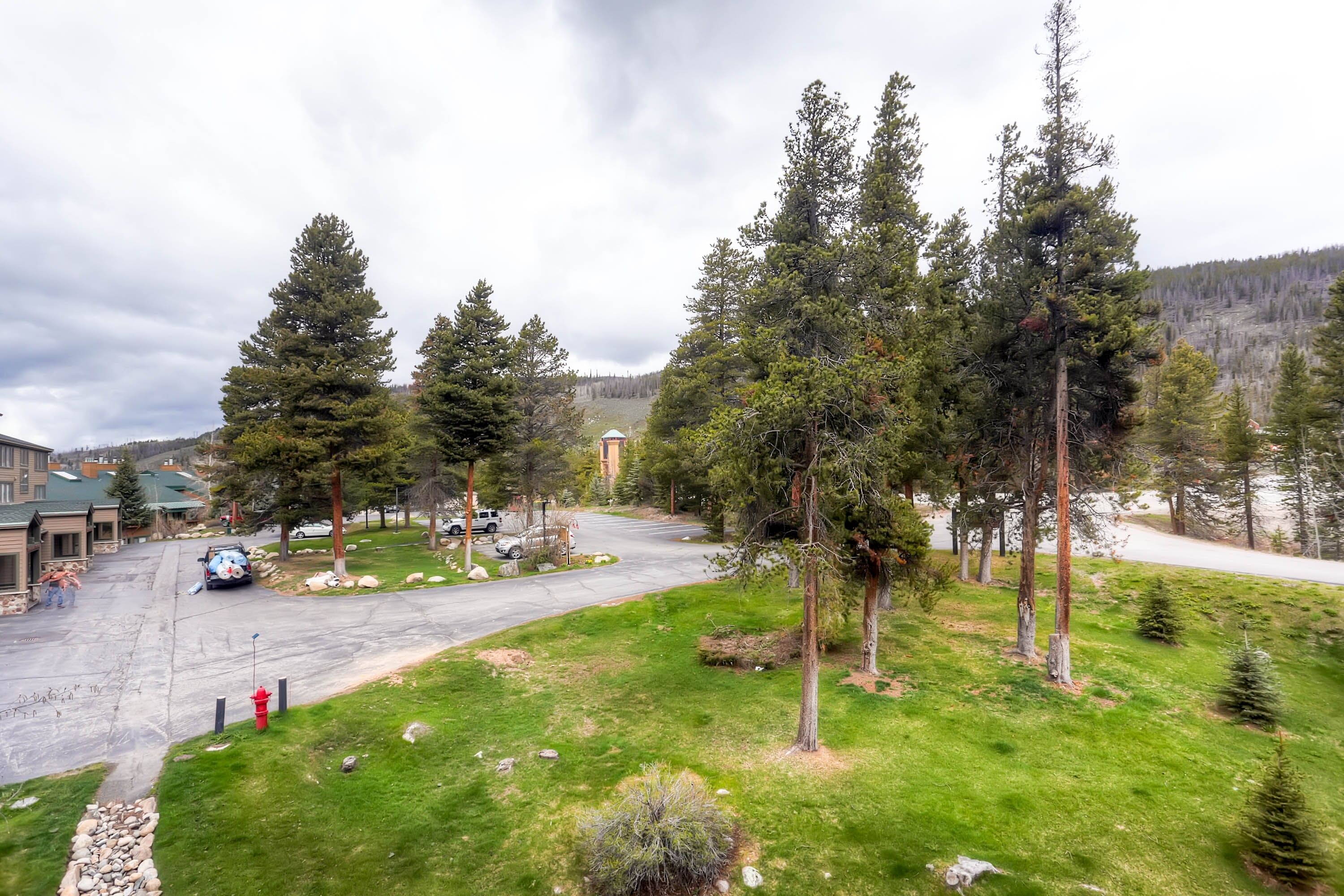 A residential driveway with a red fire hydrant, surrounded by a grassy area and tall pine trees.