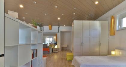 Nürtingen: spacious loft-style apartment between orchards and Neckar