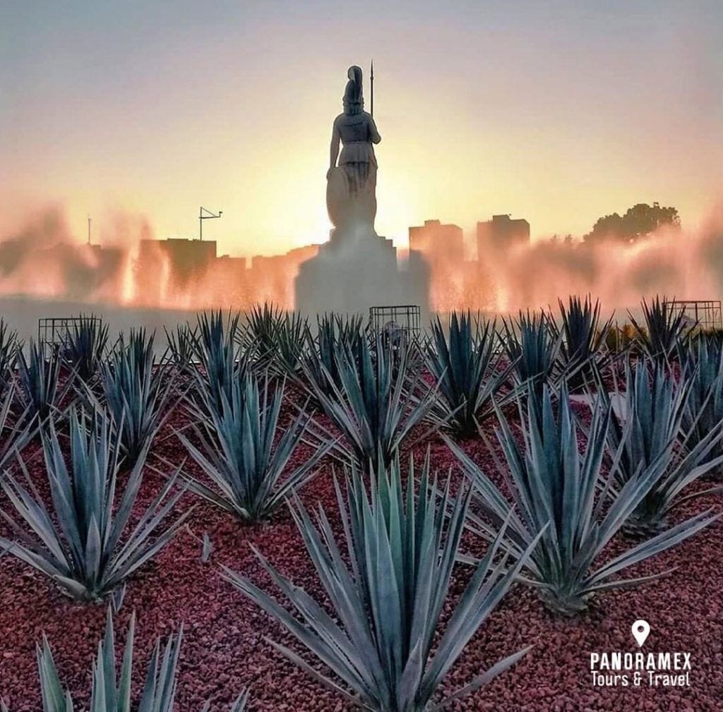 Foto - City Express Plus by Marriott Guadalajara Providencia