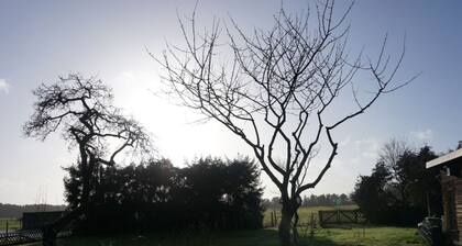 Charmantes Ferienhaus am Rande der Lüneburger Heide mit 115 qm