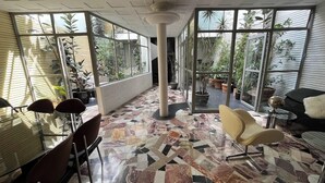 A spacious room with a patterned floor, large windows, and potted plants. - Casa Pani (Mexico City)