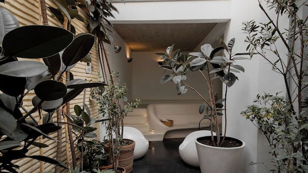 A narrow indoor space with potted plants, a white bathtub, and a curved bench. - Casa Pani (Mexico City)