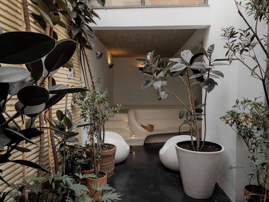 Um espaço interno estreito com plantas em vasos, uma banheira branca e um banco curvo.