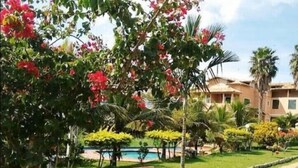 A hotel with a pool, surrounded by lush greenery and palm trees. - Pousada Herva Doce (Rio das Ostras)
