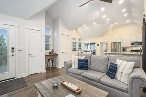 Smart TV, fireplace, DVD player, books