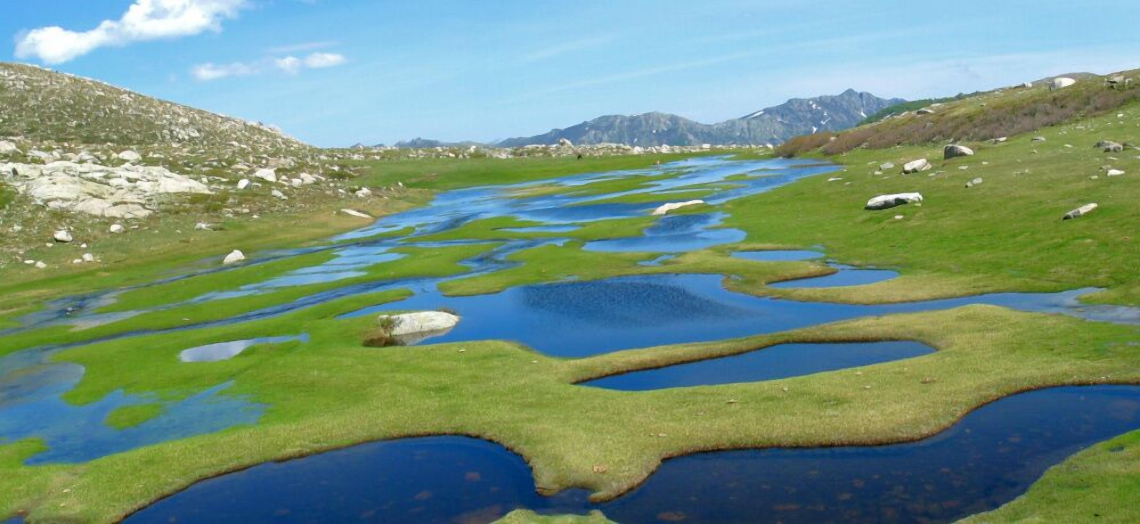 Foto - Hôtel Restaurant le Bellevue