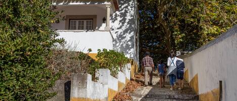 A cobblestone staircase leading up to a building with a white facade and a tiled roof.