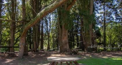 The Eco Lodge - TSB Topec outdoor pursuits centre