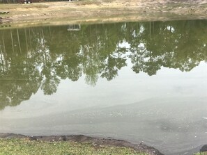 Beach - Studio Cottage 214** (New Bern)