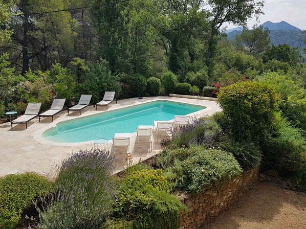 A rectangular swimming pool with a curved edge, surrounded by lounge chairs and a stone wall.