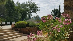 Ein Garten mit Stufen, die zu einer Steinsäule führen, umgeben von verschiedenen Pflanzen und Blumen.