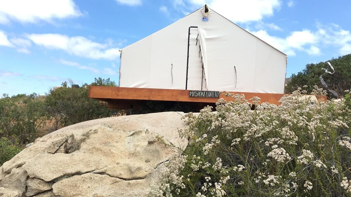 Imagen de perfil del propietario o de la propietaria