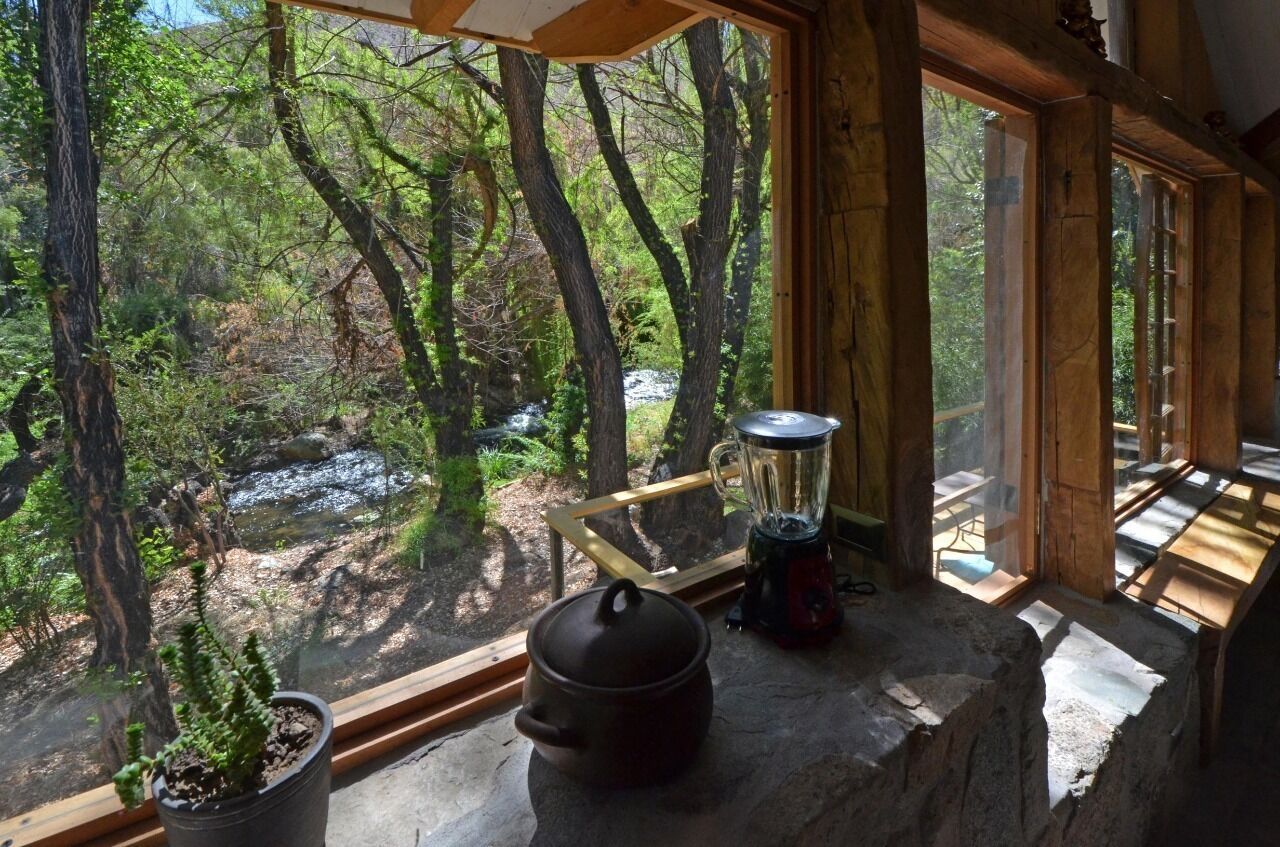 Cabin (Gallery) | View from room