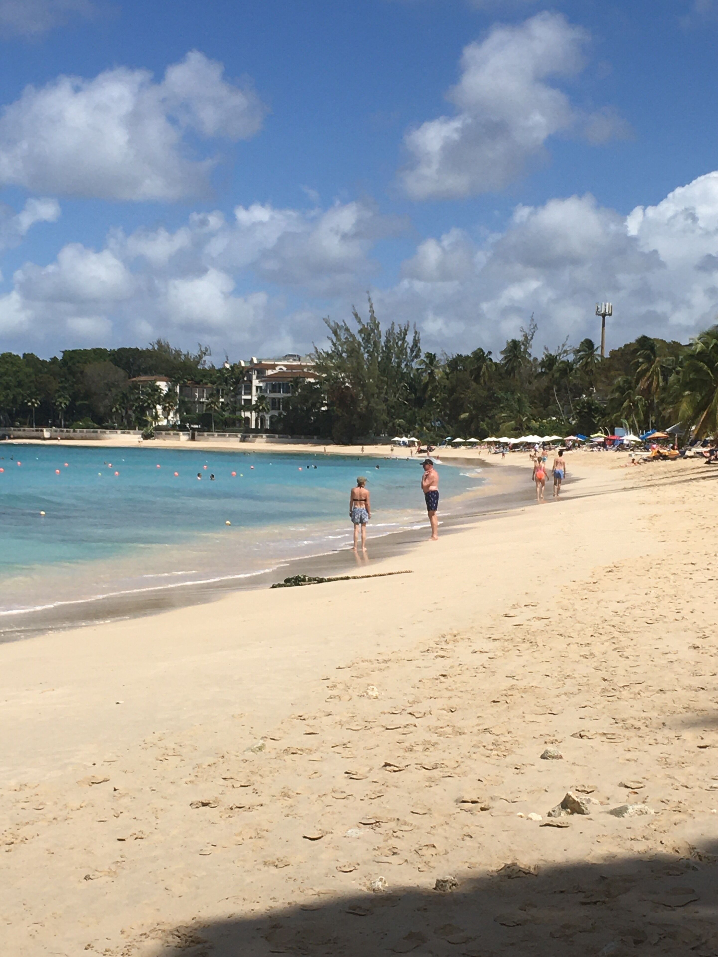 A beach with clear blue water, sandy shore, and palm trees.