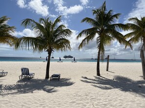 A beach with palm trees, a sandy shore, and boats in the distance.