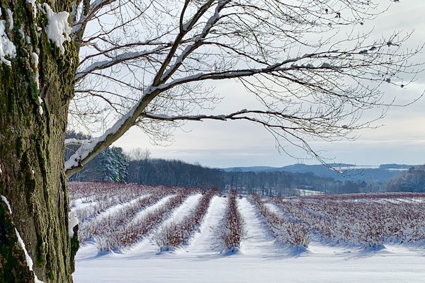 スノー スポーツとスキー