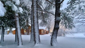 Schneebedeckte Landschaft mit Bäumen und einer Holzhütte.