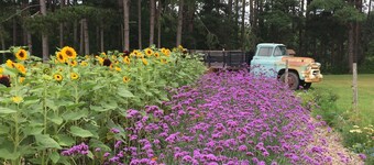 Burdick Blueberry Farm Guest House