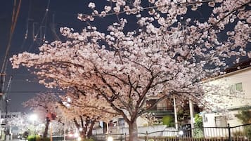 住宿陆地景观