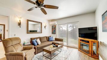 TV, fireplace, DVD player, books