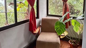 A room with a wooden floor, a beige armchair, and a large potted plant.