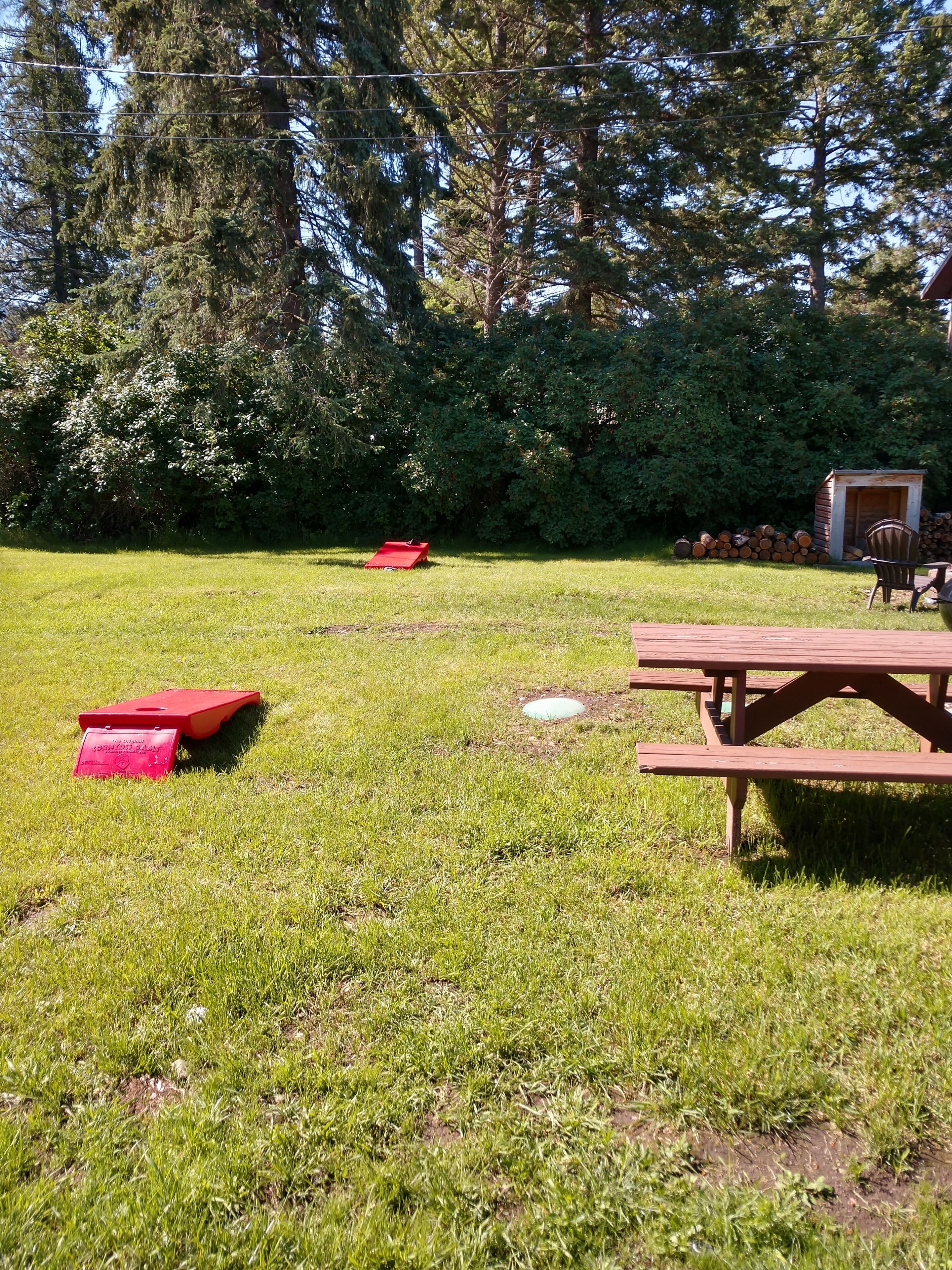 A grassy outdoor area with a picnic table and a small shed.