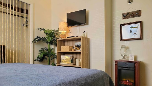 A hotel room with a bed, a TV mounted on the wall, a wooden shelf with decorative items, a small fireplace, and a potted plant. - Quaint & Cozy Cottage: 3 Mi to Palisade Wineries! (Grand Junction)