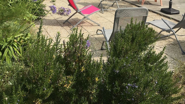 A garden with a wooden fence, a shed, and outdoor seating including a red chair and a white umbrella. - 50m from the sea Holiday house for 2 people in Dossen (Santec)