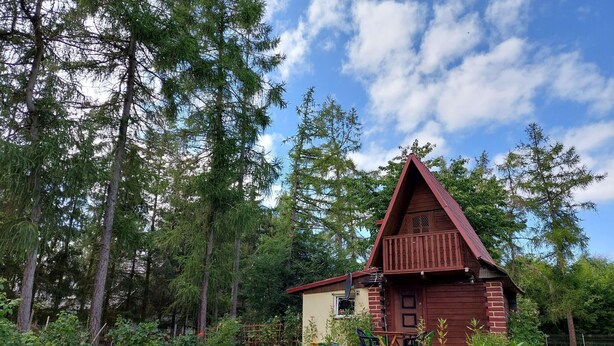 A wooden cabin with a balcony, surrounded by a garden and tall trees.