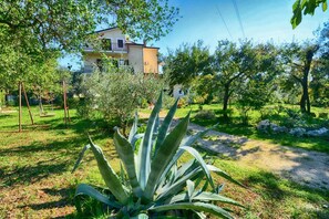 A residential area with a house, a garden with a large agave plant, and a clear sky.