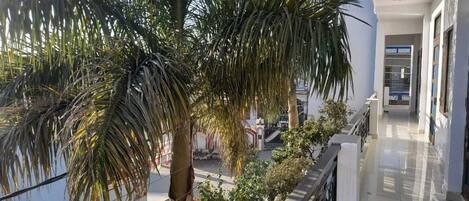 Terrain de lâhĂ©bergement